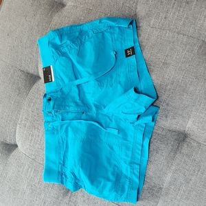 Blue/Teal Shorts